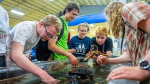 A photo of people standing around a touch tank with one person holding a lobster